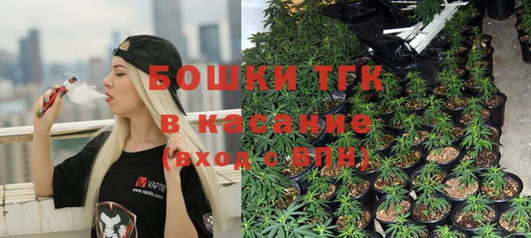 гидра Майский