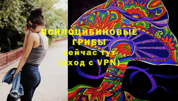 гидра Майский