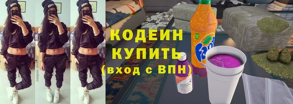 гидра Майский