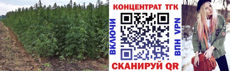 KRAKEN ссылка  Лермонтов  ТГК THC oil  купить наркотик 