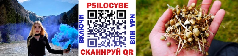 Галлюциногенные грибы Psilocybe  Лермонтов 